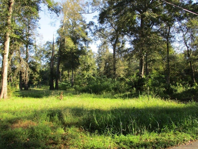 Listing photo 3 for 39501 Dean Rd, Slidell LA 70458