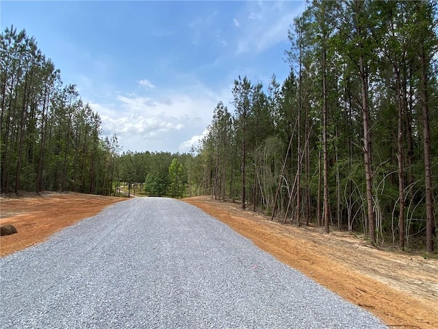 LOT29 Erin Ln, Franklinton LA, 70438 land for sale