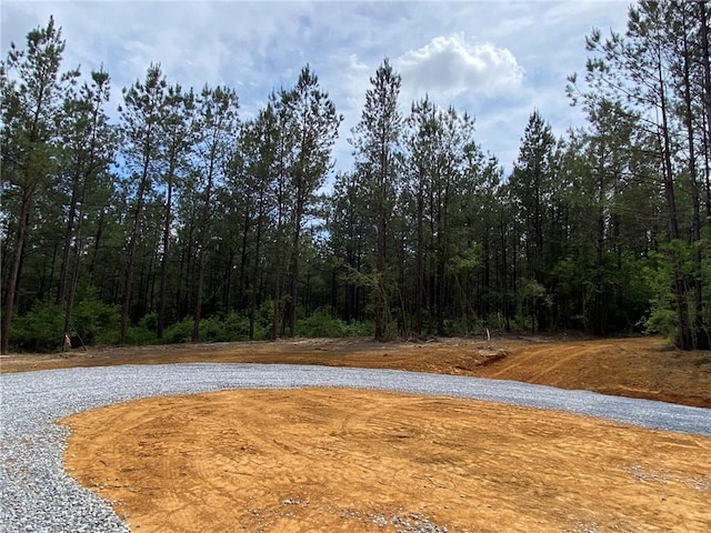 Listing photo 3 for LOT29 Erin Ln, Franklinton LA 70438