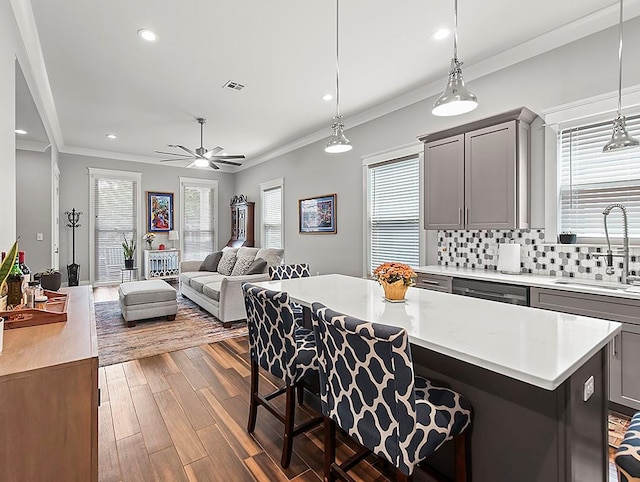 kitchen with sink, ceiling fan, dark wood-type flooring, and a wealth of natural light