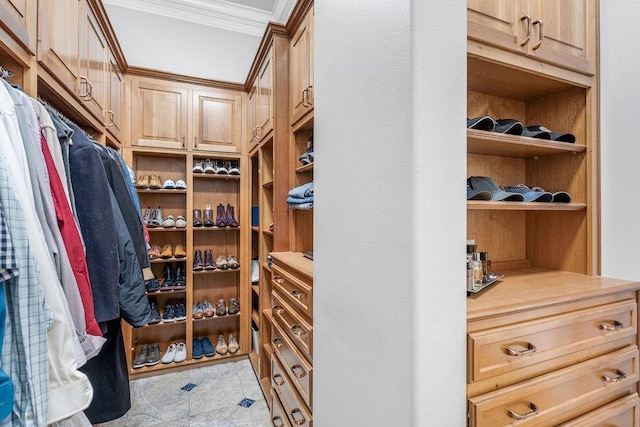 view of spacious closet