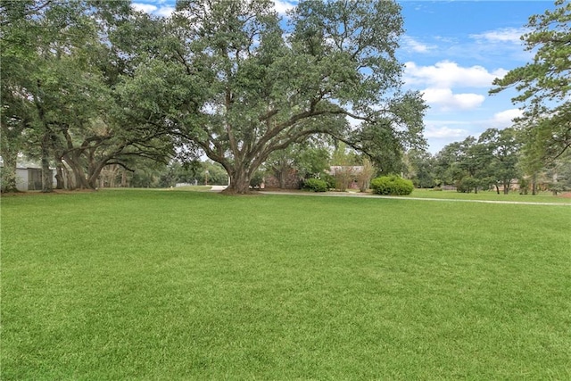 view of yard