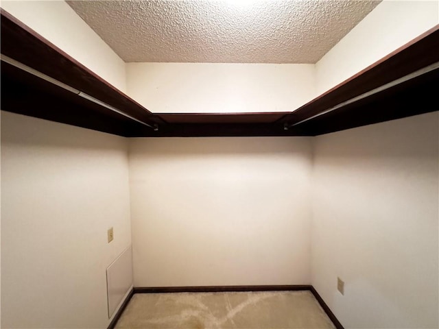 spacious closet with light colored carpet