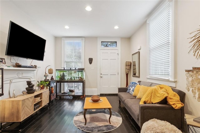 living room with dark hardwood / wood-style floors and a wealth of natural light