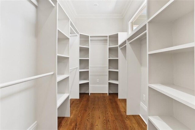 walk in closet with dark wood-type flooring