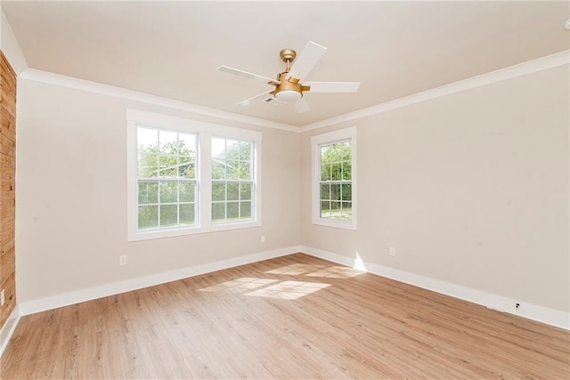 empty room featuring ceiling fan, light hardwood / wood-style flooring, and crown molding