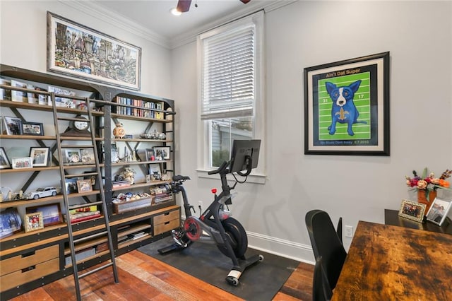 exercise area featuring ornamental molding, wood-type flooring, and ceiling fan