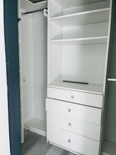 view of closet