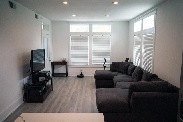 living room with wood-type flooring