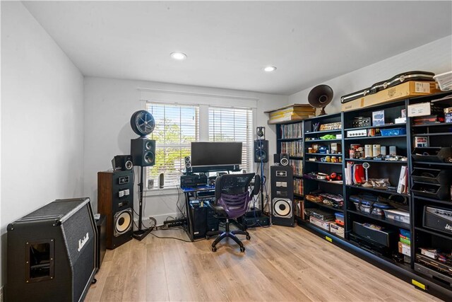 office area featuring wood-type flooring