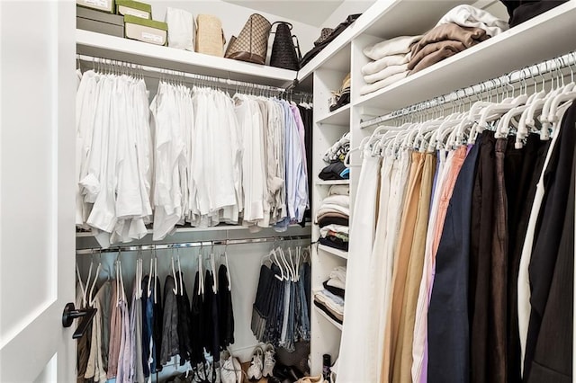 view of walk in closet