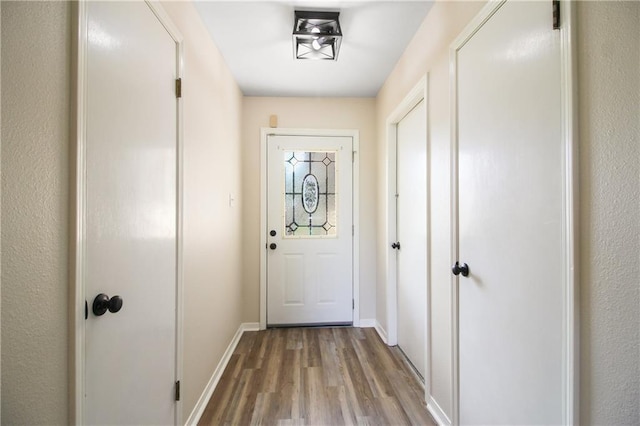 entryway with wood-type flooring