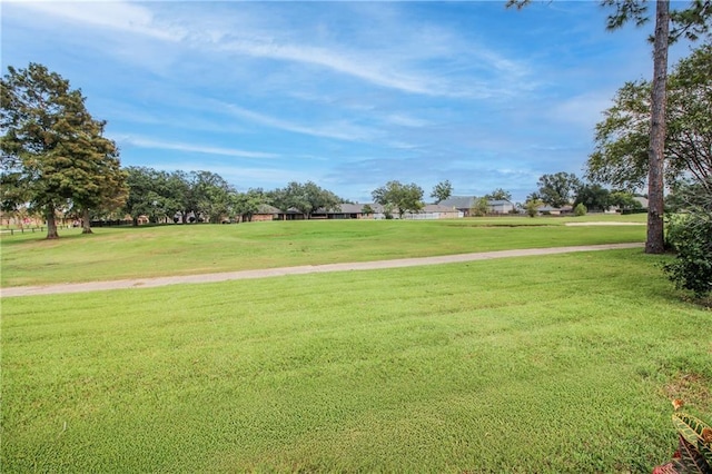 surrounding community featuring a yard