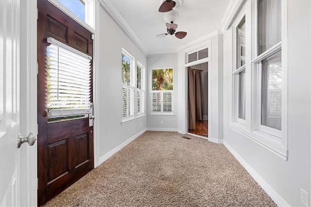 carpeted entryway featuring ornamental molding and ceiling fan