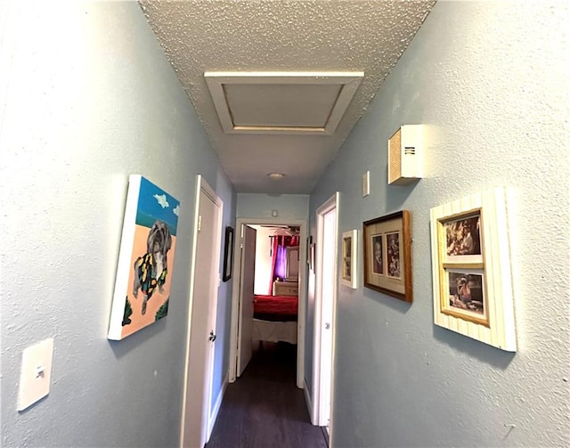 bedroom with ceiling fan and dark hardwood / wood-style flooring