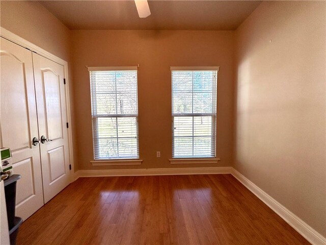 entryway with plenty of natural light and hardwood / wood-style floors