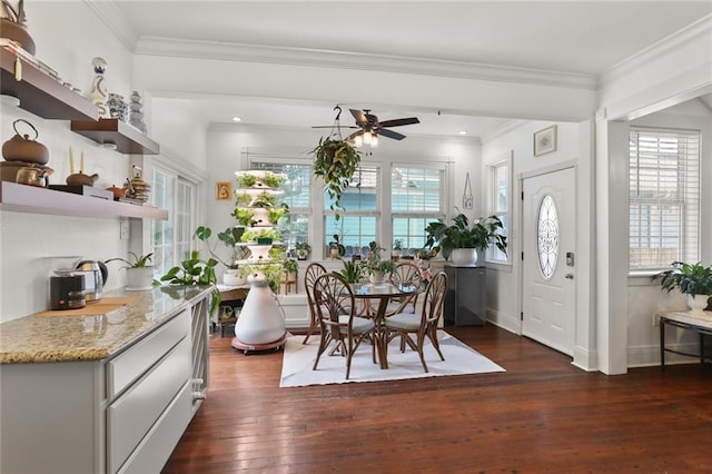 kitchen featuring ceiling fan, light stone countertops, crown molding, and dark hardwood / wood-style flooring