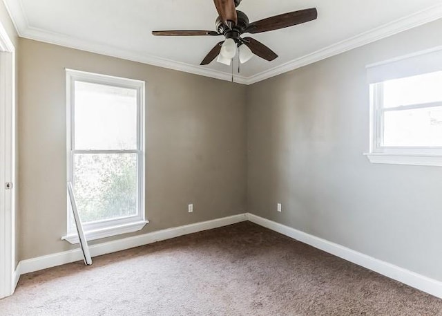 carpeted spare room featuring ornamental molding, a wealth of natural light, and ceiling fan