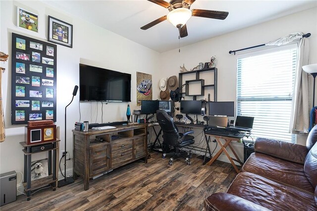 office area featuring ceiling fan and hardwood / wood-style floors