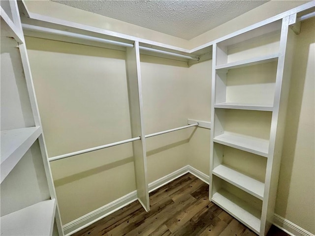 spacious closet featuring dark wood-type flooring