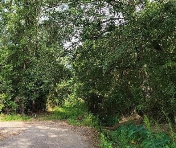 0 W 19th St, Bogalusa LA, 70427 land for sale