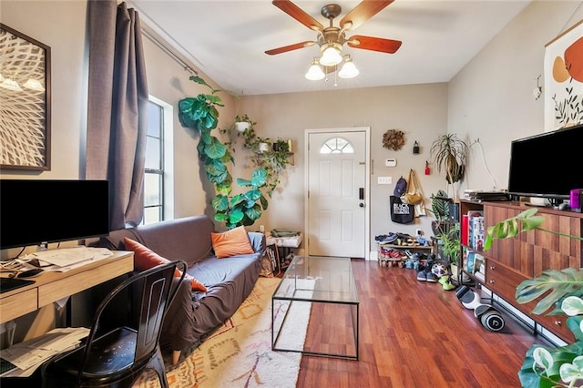 office space with wood-type flooring and ceiling fan