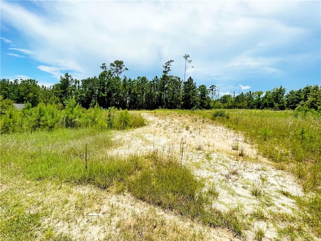 1000 Natalie Ct, Slidell LA, 70461 land for sale