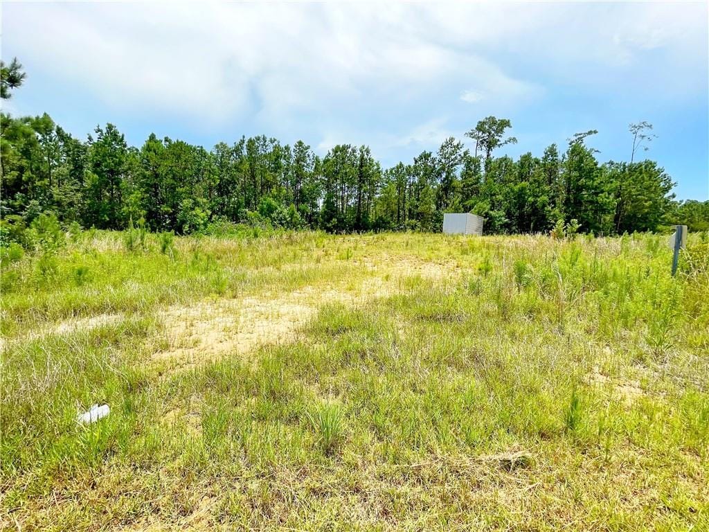 1004 Natalie Ct, Slidell, LA 70461 - photo 1
