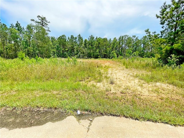 1008 Natalie Ct, Slidell LA, 70461 land for sale