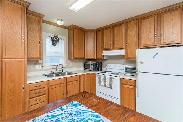 kitchen featuring wood-type flooring, white appliances, sink, and butcher block counters