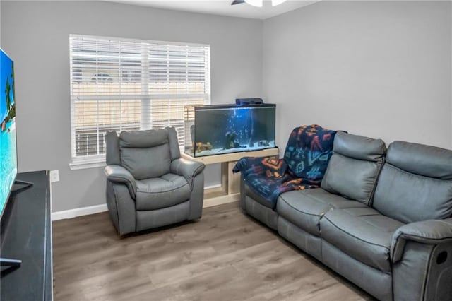 living room featuring ceiling fan and hardwood / wood-style floors