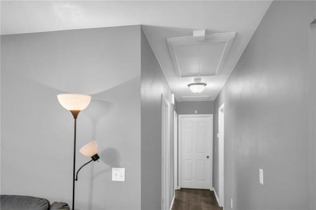 hallway featuring dark hardwood / wood-style floors