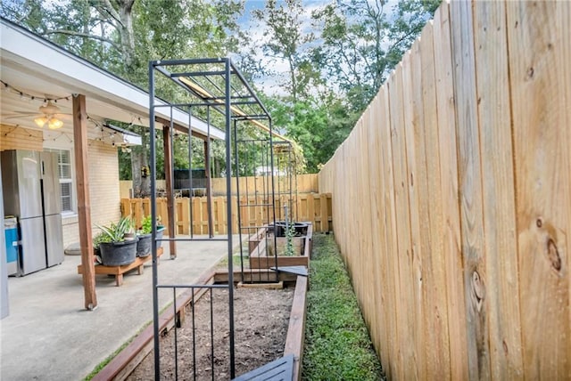 view of yard featuring a patio