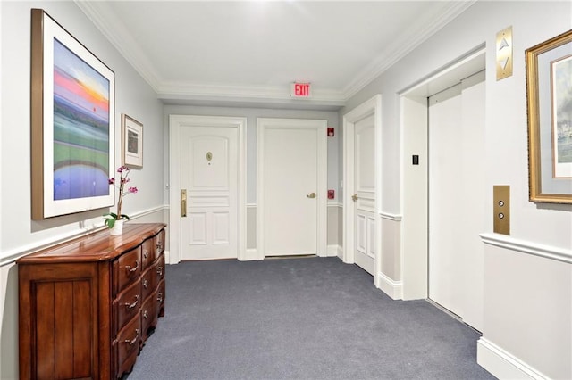 carpeted bedroom featuring crown molding and elevator