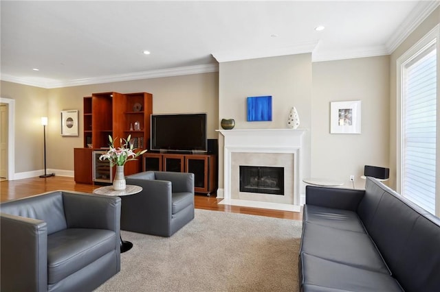 416 Common St Unit 6, New Orleans, LA 70130 - living area featuring ornamental molding, wood finished floors, a high end fireplace, recessed lighting, and baseboards