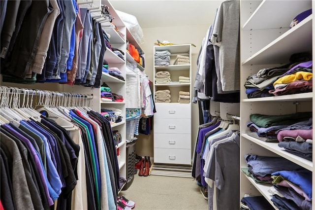 spacious closet featuring light carpet