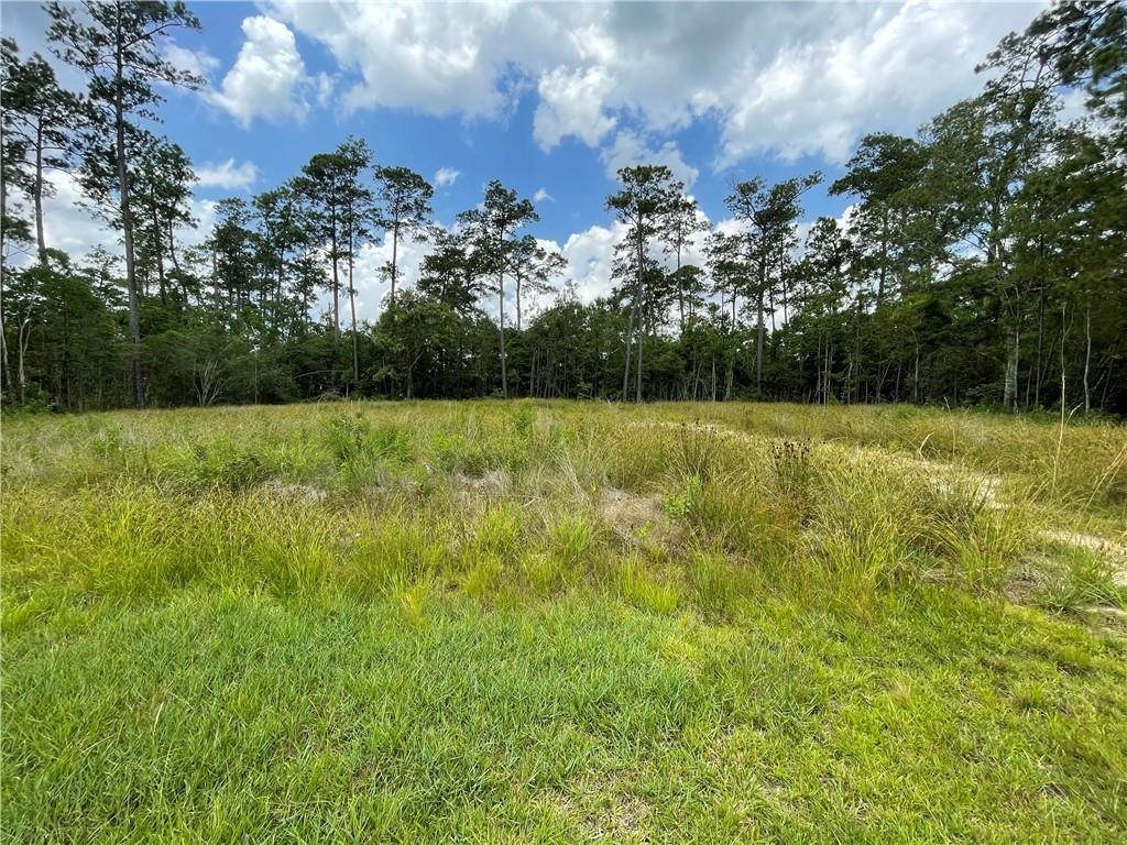 0 Brandon Dr, Slidell, LA 70461 - photo 1