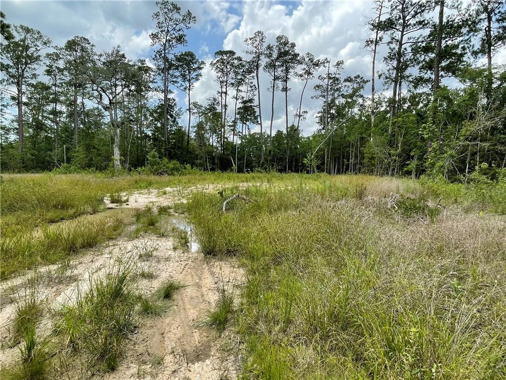 00 Marple Ln, Slidell, LA 70461 - photo 1