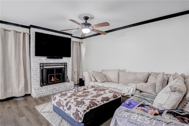 living room featuring light hardwood / wood-style floors, a fireplace, ornamental molding, and ceiling fan