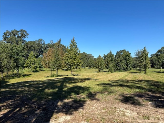 Ebb Guillot Rd, Pearl River LA, 70452 land for sale