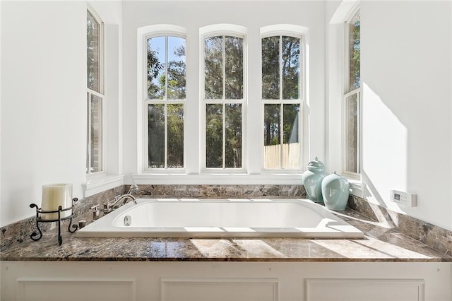 bathroom with a healthy amount of sunlight and a bathing tub