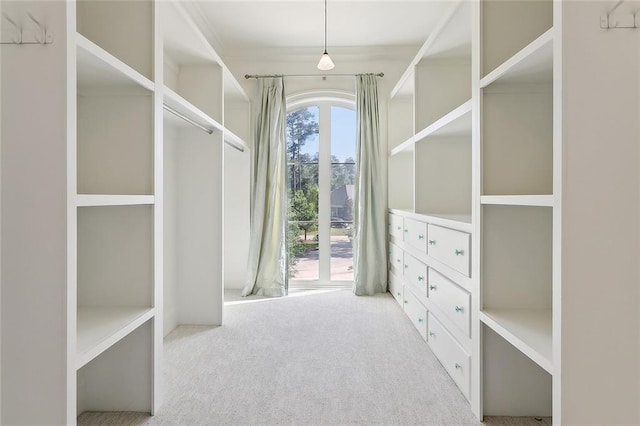 walk in closet featuring carpet flooring