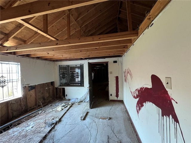 miscellaneous room featuring lofted ceiling