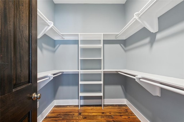 spacious closet featuring dark hardwood / wood-style floors