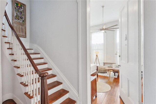 1524 Euterpe St Unit A, New Orleans, LA 70130 - staircase with wood finished floors, a ceiling fan, and baseboards