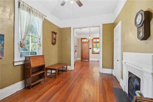 interior space featuring dark hardwood / wood-style flooring