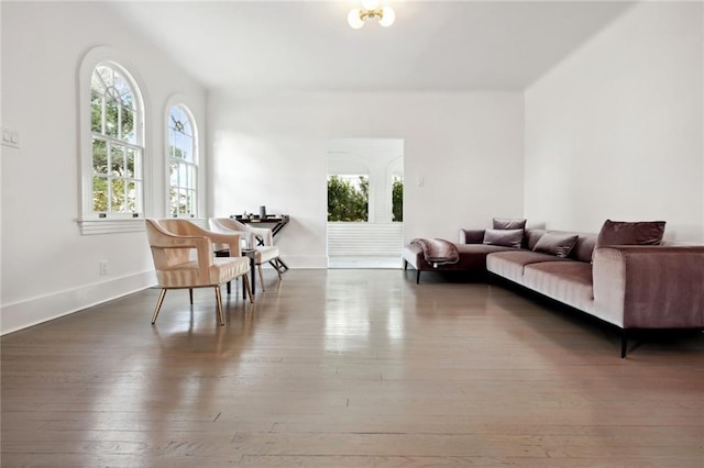 living room featuring dark hardwood / wood-style flooring