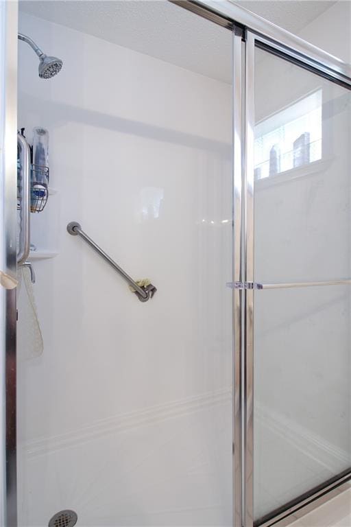 bathroom featuring a shower with door