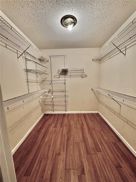 spacious closet featuring dark wood-type flooring