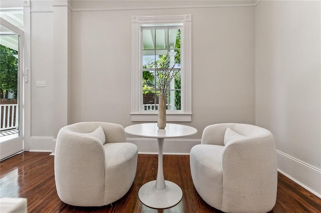 sitting room featuring dark wood-type flooring